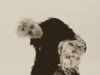 Nuevo Ep de Täin
